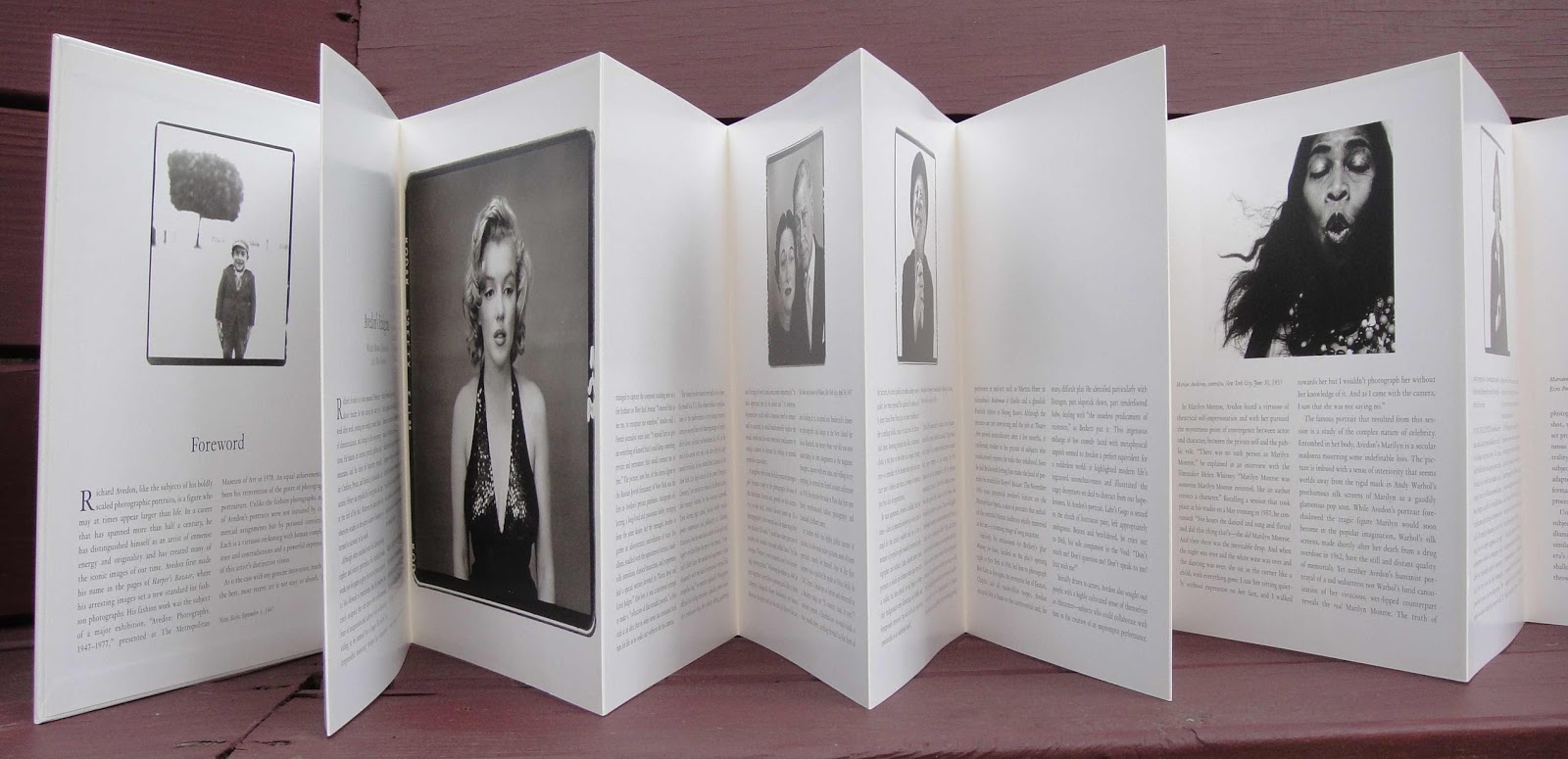 Richard Avedon 'Portraits' Rare Book 2002